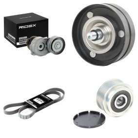 Osta Moniurahihnasarja RIDEX:llä 542R0460 edullisesti hintaan 177,27 €