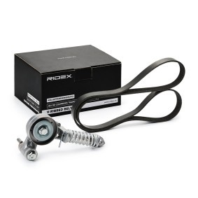 Acquista Kit Cinghie Poly-V da RIDEX 542R0481 a buon mercato per soli 36,70 €