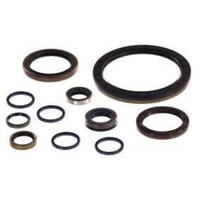 Köp Packningssats, manuell transmission av Euroricambi 95534146 till det låga priset 634,76 kr