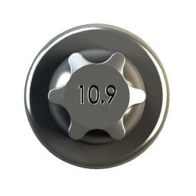 Achetez des Boulon de bielle IPSA COB00900 à prix pour 5,08 €
