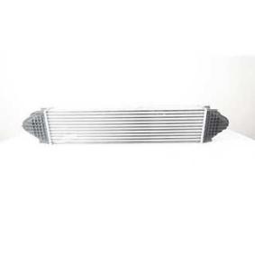 Kjøp Intercooler av BSG BSG 15-535-010 til den lave prisen 2982,67 NOK