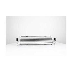 Kjøp Intercooler av BSG BSG 15-535-019 til den lave prisen 4365,24 NOK