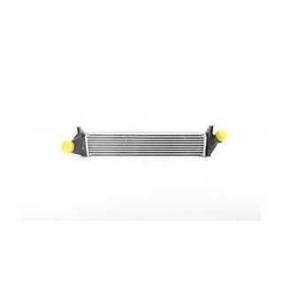 Acquista Intercooler da BSG BSG 75-535-005 a buon mercato per soli 107,55 €