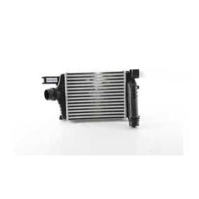 Acquista Intercooler da BSG BSG 75-535-012 a buon mercato per soli 118,35 €