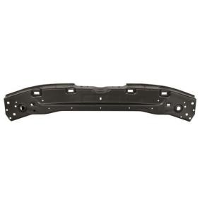 Acquista Pannellatura anteriore da BLIC 6502-08-3206202P a buon mercato per soli 49,86 €