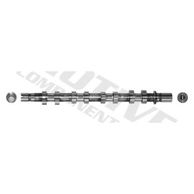 Acquista Albero a camme da motive T1961 a buon mercato per soli 366,18 €