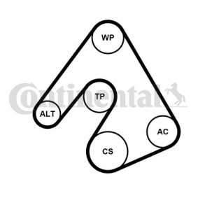 Acquista Pompa acqua + Kit cinghia Poly V da CONTITECH 5PK1207WP1 a buon mercato per soli 124,00 €