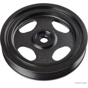Achetez des Poulie damper (vilebrequin) HERTH+BUSS JAKOPARTS J1095020 à prix pour 94,43 €