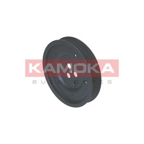 Achetez des Poulie damper (vilebrequin) KAMOKA RW019 à prix pour 38,55 €