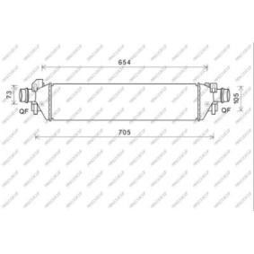Acquista Intercooler da PRASCO OP700N001 a buon mercato per soli 231,91 €