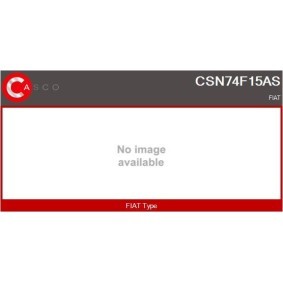 Comprar Conmutador en la columna de dirección de CASCO CCS77001GS a bajo precio de 537,56 €
