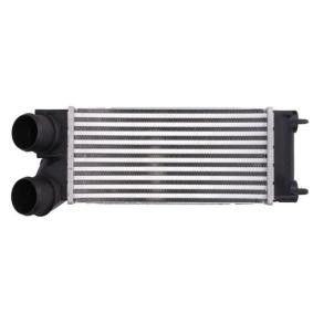 Köp Intercooler av THERMOTEC DAC013TT till det låga priset 1416,86 kr