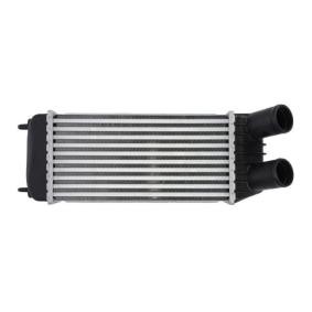 Acquista Intercooler da THERMOTEC DAP006TT a buon mercato per soli 79,19 €