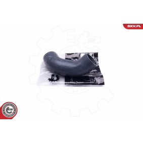 Ladeluftschlauch für MINI von ESEN SKV