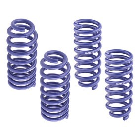 Compre Kit de suspensão, molas da H&R 28920-1 a um preço baixo por 233,59 €