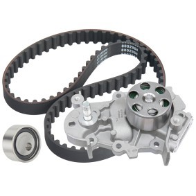 Osta Vesipumppu + jakohihnasarja RIDEX:llä 3096W0276 edullisesti hintaan 89,23 €