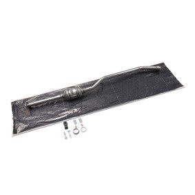 Osta Katalysaattori RIDEX:llä 429C0643 edullisesti hintaan 365,38 €