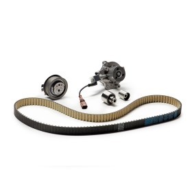 Achetez des Kit de distribution + pompe à eau DAYCO KTBWP8841 à prix pour 254,75 €