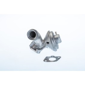 Acquista Valvola EGR da WAHLER 710973R a buon mercato per soli 95,00 €