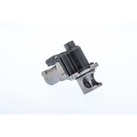 Acquista Valvola EGR da WAHLER 710977R a buon mercato per soli 161,20 €