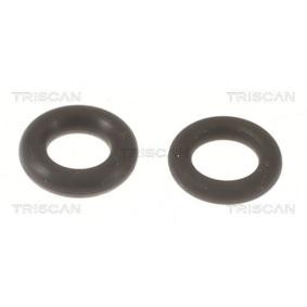 Acquista Kit guarnizioni, Iniettore da TRISCAN 596-1004 a buon mercato per soli 10,57 €