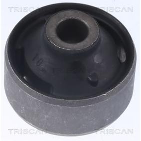 Lagerung, Lenker von TRISCAN 8500 10885