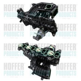 Acquista Collettore di aspirazione da HOFFER 7519561 a buon mercato per soli 459,63 €