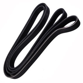 Compre Correia trapezoidal estriada da MASTER-SPORT 6PK2195-PCS-MS a um preço baixo por 21,88 €