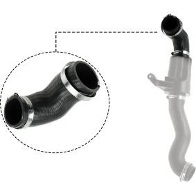 Ladeluftschlauch R19575 von RAPRO günstig für 33,08 € online kaufen