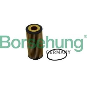 Ölfilter des Herstellers Borsehung - Originalware Artikelnummer: B10511