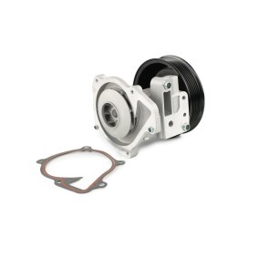 Wasserpumpe von FAST für Defender Pritsche / Fahrgestell (L316) günstig online kaufen