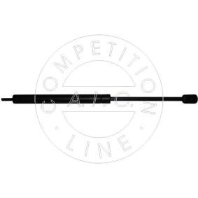 Heckklappendämpfer von AIC 53841