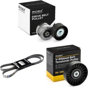 Achetez des Jeu de courroies trapézoïdales à nervures RIDEX 542R0569 à prix pour 64,17 €