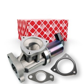 Acquista Valvola EGR da FEBI BILSTEIN 172643 a buon mercato per soli 241,96 €
