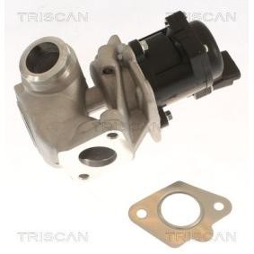 Acquista Valvola EGR da TRISCAN 8813 10018 a buon mercato per soli 136,32 €
