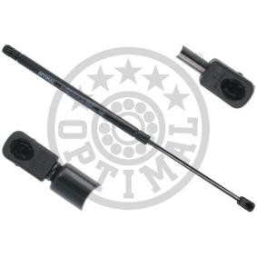 Heckklappendämpfer für MINI von OPTIMAL