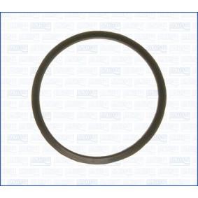 Acquista Guarnizione, Termostato da AJUSA 00727600 a buon mercato per soli 5,07 €