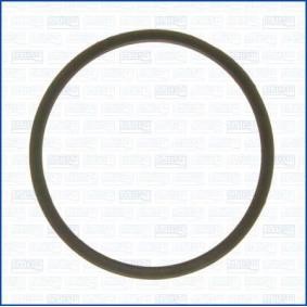 Dichtung, Thermostat 00813100 LEXUS von AJUSA