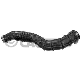 Acquista Tubo aspirazione filtro aria da CAUTEX 753209 a buon mercato per soli 104,86 €