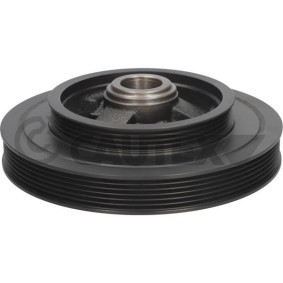 Compre Polea de cigüeñal de CAUTEX online para VOYAGER IV (RG, RS) a precios moderados
