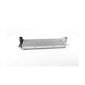 Acquista Intercooler da BSG BSG 15-535-027 a buon mercato per soli 301,29 €