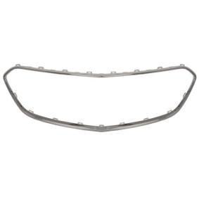 Osta Suoja- / koristelista, jäähdyttimen säleikkö BLIC:llä 6502-07-5029912P edullisesti hintaan 115,34 €