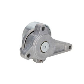 Achetez des Galet tendeur de courroie d'accessoire BTA B05-02-107 à prix pour 25,33 €