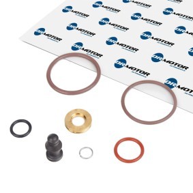 Acquista Kit riparazione, Gruppo pompa-iniettori da DR.MOTOR AUTOMOTIVE DRM006R a buon mercato per soli 9,87 €