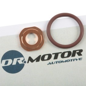 Acquista Kit guarnizioni, Iniettore da DR.MOTOR AUTOMOTIVE DRM018 a buon mercato per soli 7,94 €