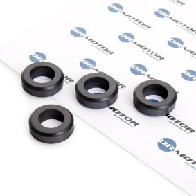 Acquista Kit anelli tenuta, Iniettore da DR.MOTOR AUTOMOTIVE DRM0481S a buon mercato per soli 8,79 €