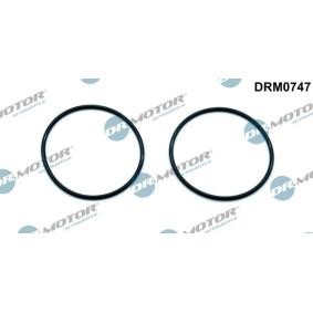 Acquista Guarnizione, Pompa depressione da DR.MOTOR AUTOMOTIVE DRM0747 a buon mercato per soli 6,33 €