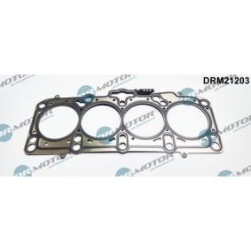 Acquista Guarnizione testata da DR.MOTOR AUTOMOTIVE DRM21203 a buon mercato per soli 37,16 €