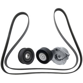 Acquista Kit Cinghie Poly-V da RIDEX 542R0612 a buon mercato per soli 85,28 €
