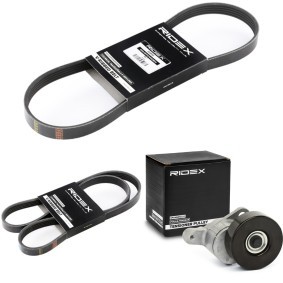 Acquista Kit Cinghie Poly-V da RIDEX 542R0627 a buon mercato per soli 67,25 €